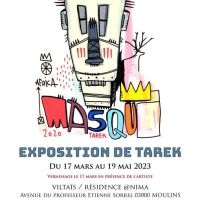 Exposition Masques de Tarek à Moulins